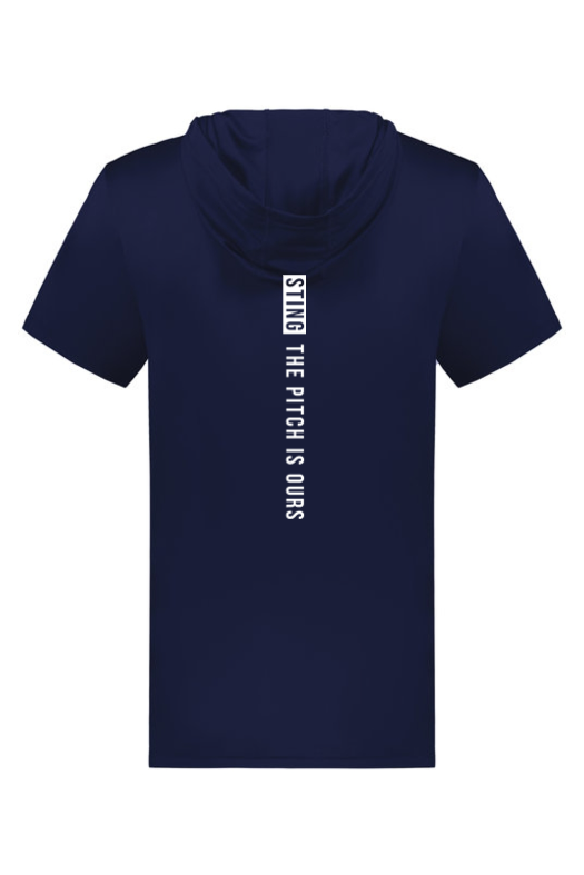 Sting SZN | Youth Pitch Is Ours Coolcore Hoodie